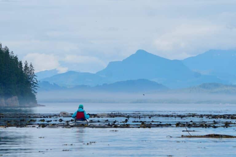 Kayaker paddling under the marine layer with coastal mountain backdrop. Image Spirit of the West Adventures.